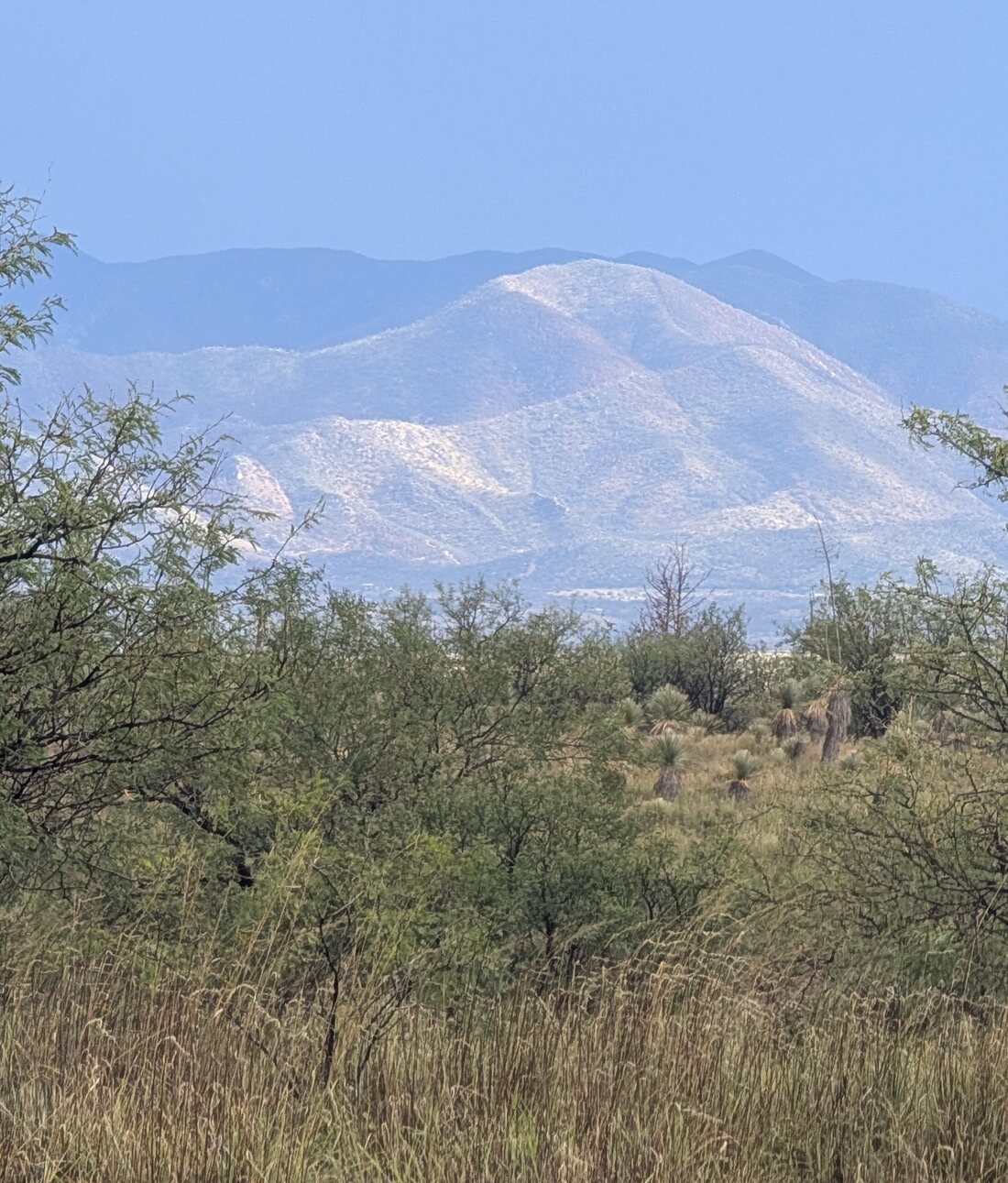 A sky island range seen from the property, framed by mesquite and grassland.
